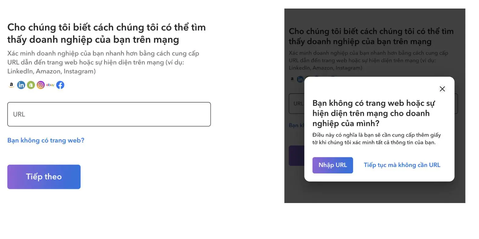 Hướng dẫn mở tài khoản doanh nghiệp Payoneer tại Việt Nam để nhận thanh toán toàn cầu - Image 9 Nhap website hoac hien dien truc tuyen cua doanh nghiep. Image 9 Nhap website hoac hien dien truc tuyen cua doanh nghiep.